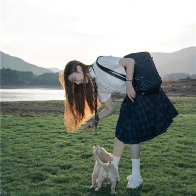 沼泽地里的秘密