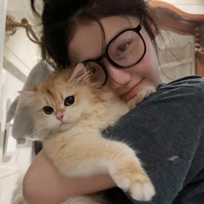 狗狗监护权